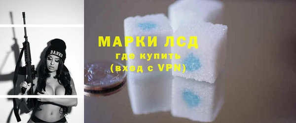 прущий лед Алзамай
