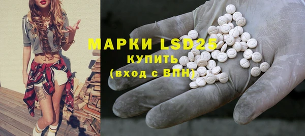шишки Абинск