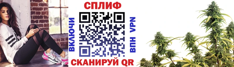 купить закладку  Егорьевск  дарк нет Telegram  Шишки марихуана планчик  OMG ONION 